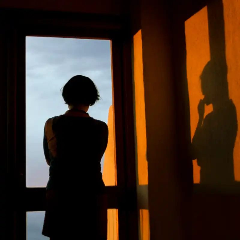 A person is standing with their back to the camera, looking out a window at sunset.