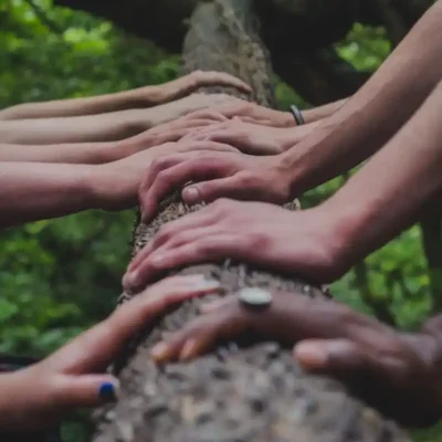 Several hands are touching a tree.