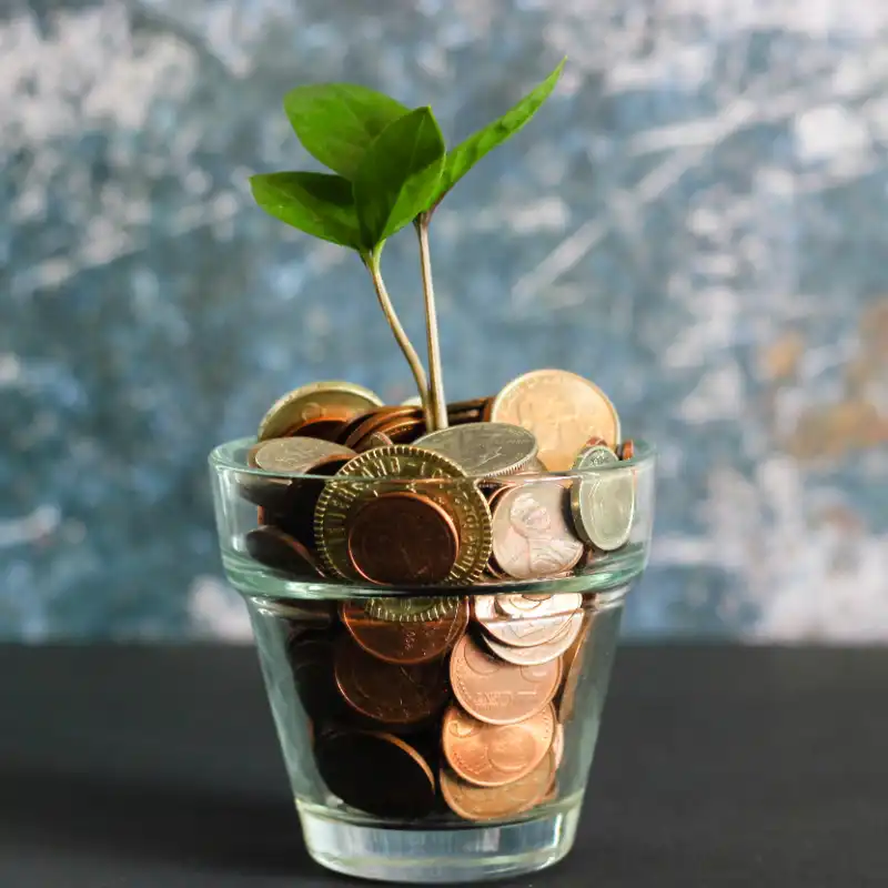A glass is filled with coins and has a small plant growing out of the top.