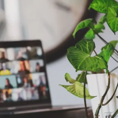 An online meeting is shown on a laptop, with a potted plant in the corner of the frame.